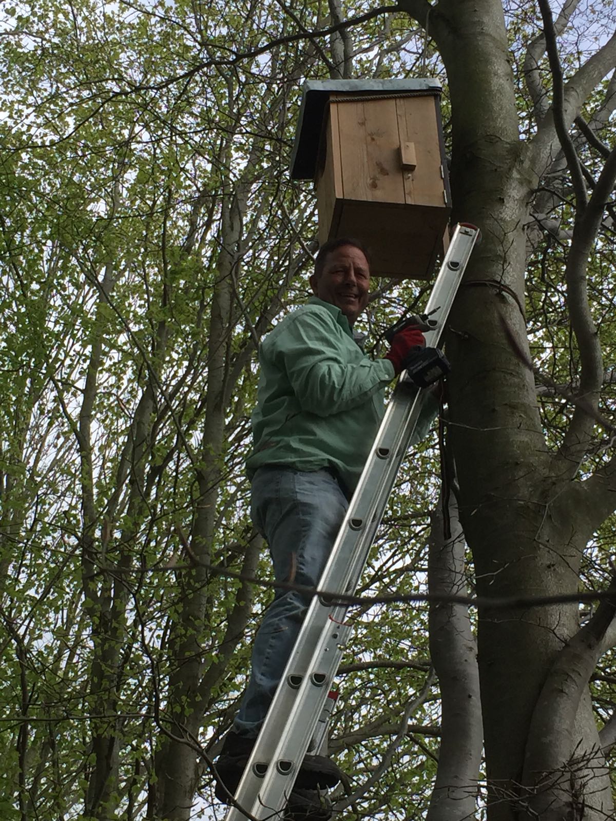 Deze boom blijkt ook geschikt..