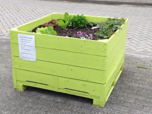 Mobiele moestuinbakken