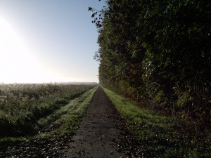 Sieradenbuurt de start